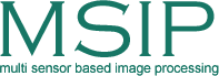 MSIP Logo