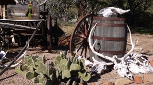 Scottsdale, Arizona: Zu Besuch im Wilden Westen