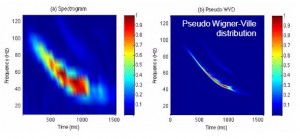 whale detection